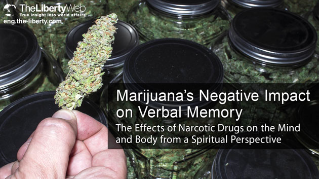 Marijuana’s Negative Impact on Verbal Memory