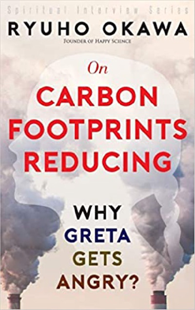 On Carbon footprints reducing: Why Greta Gets Angry?